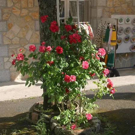 Ξενοδοχείο Logis 3*